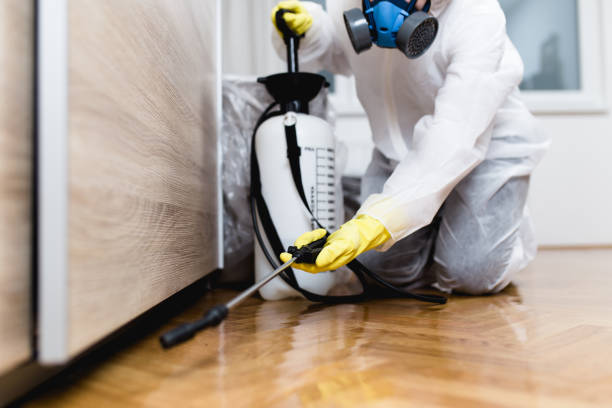 Best Exterminator Services  in Hampton, IA