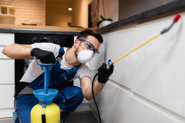 Best Bed Bug Extermination  in Hampton, IA