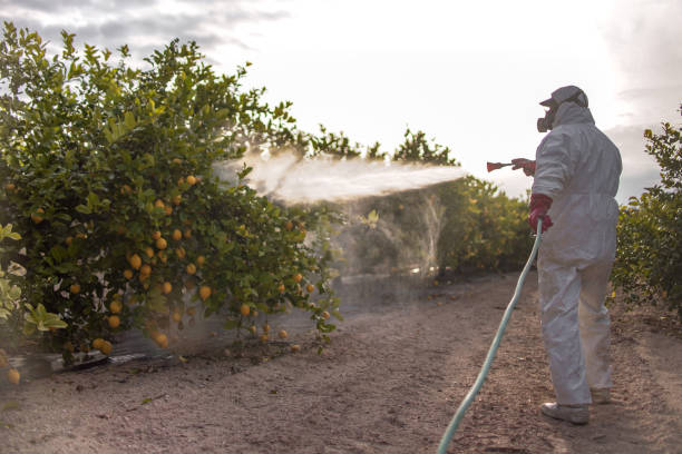 Best Pest Control Near Me in Hampton, IA